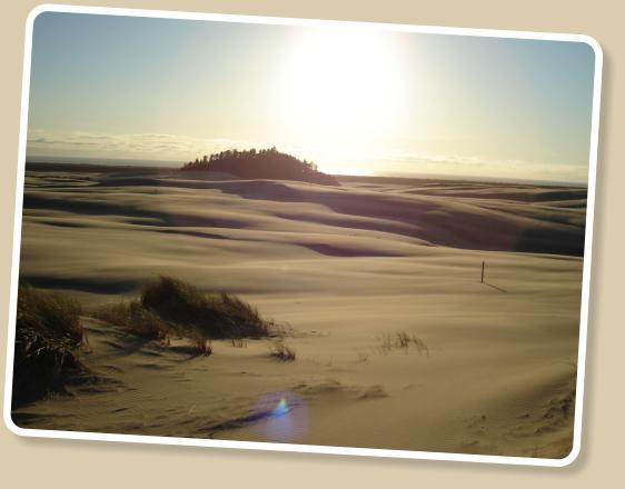 Oregon Dunes National Recreation Area